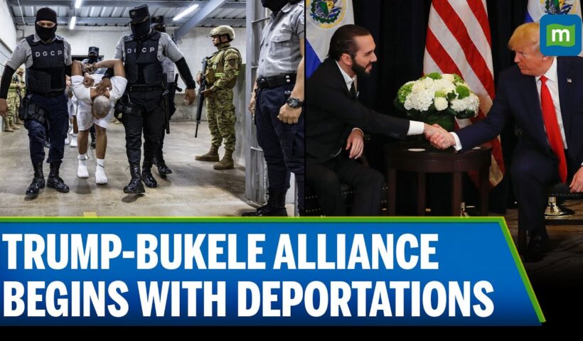 Trump-Bukele Alliance: 10 Alleged Gang Members Deported Ahead of White House Meeting | N18G