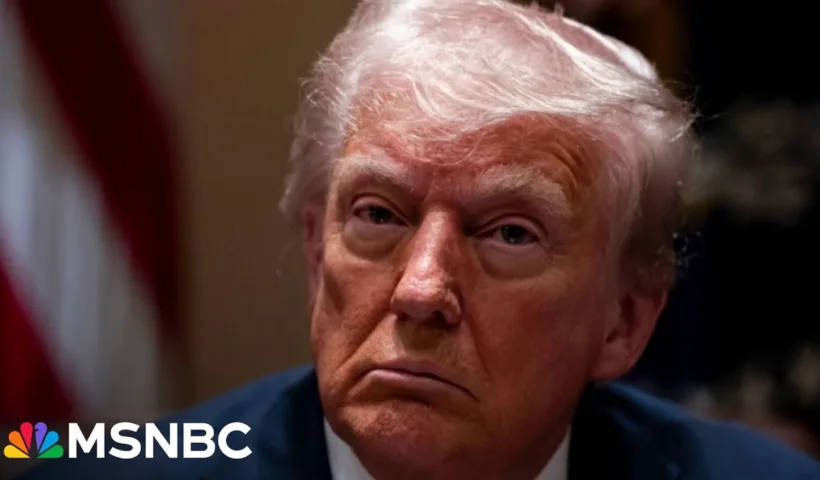 ‘Inhumane political theater’: Ex-ICE official slams Trump for ‘collapsing’ US immigration processes