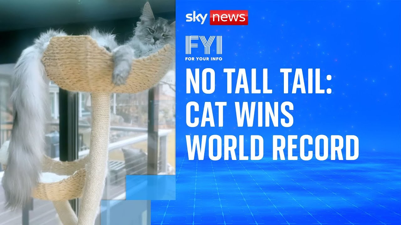 FYI: Cat wins world record
