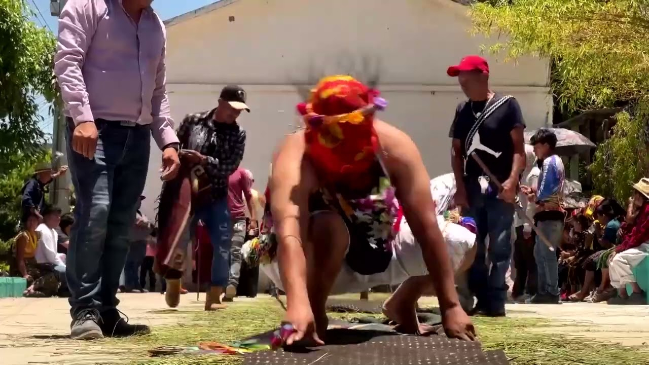 The Gateadores: a unique Guatemalan tradition for Holy Week | REUTERS