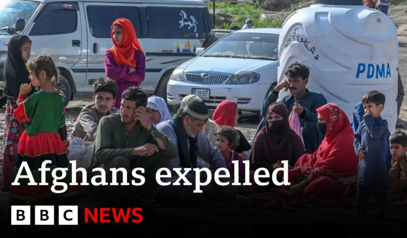 Pakistan expels tens of thousands of Afghans | BBC News