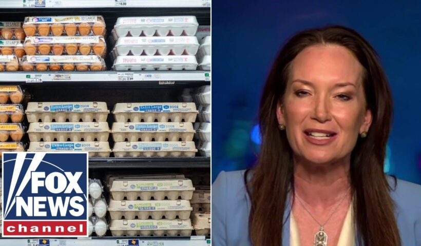 EGGCELLENT PRICES?: Agriculture secretary on making eggs ‘affordable again’ #eggprice #foxnews