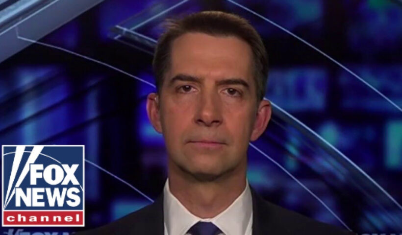 STAY IN YOUR LANE: Tom Cotton warns judge has ‘no authority to intervene’ with Trump agenda