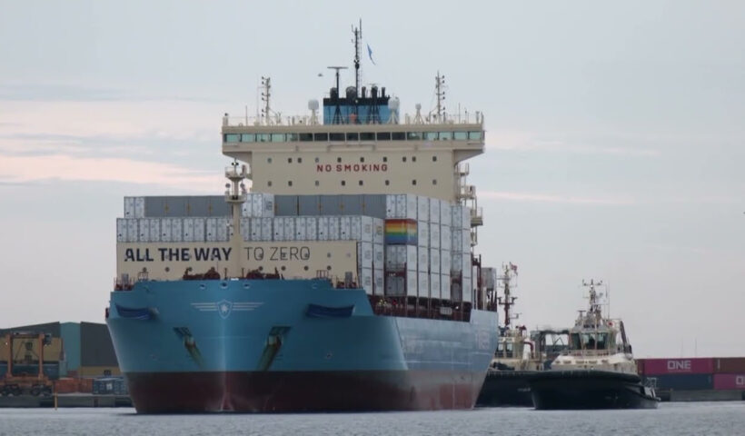 WTO cuts 2025 trade growth forecast, warns of deeper slump | REUTERS