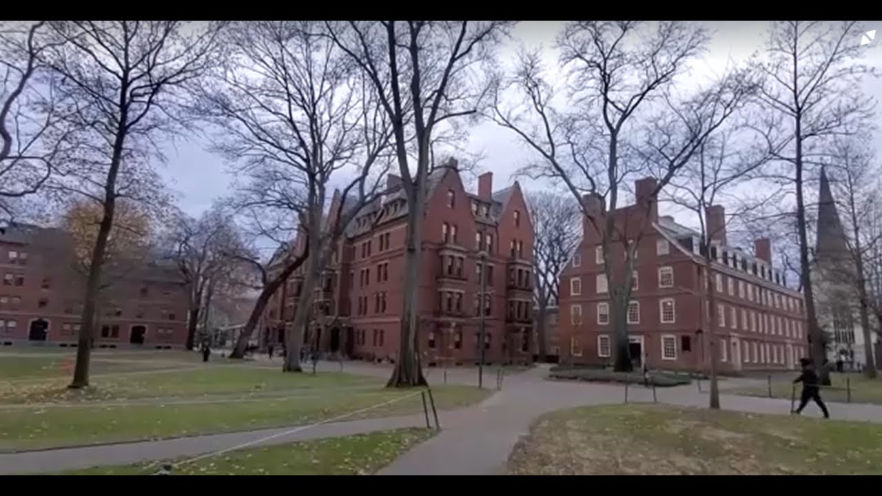 After Harvard rejects US demands, Trump adds new threat | REUTERS
