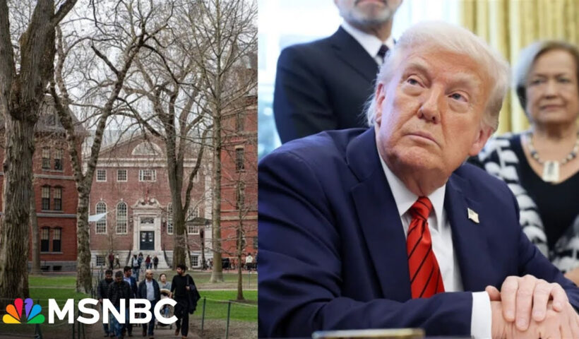 ‘Courage can be contagious, even if it’s in really small doses’: Universities begin to push back